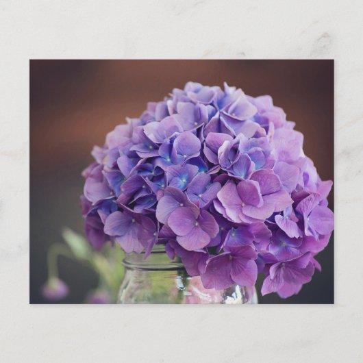 Budget Lavender Paars Hydrangea (Voorkant)