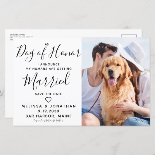 Budget Mariage Photo Chien Enregistrer Les Cartes  (Devant / Derrière)