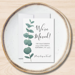 Budget Mini We hebben de aankondiging van Eucalypt