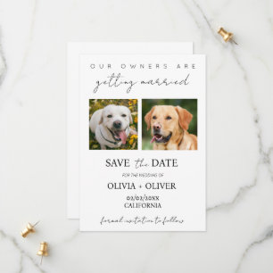 Budget, minimalistisch, schattig aangepaste hond f save the date