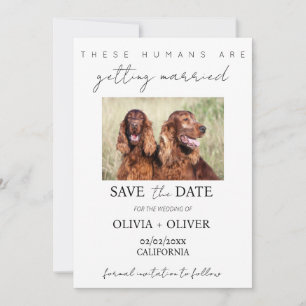 Budget, minimalistisch, schattig aangepaste hond f save the date