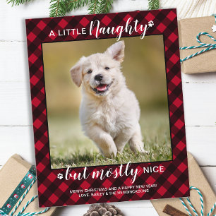Budget Naughty Nice Pet Foto Red Play Holiday