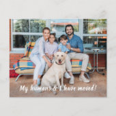 Budget Nous Avons Déplacé Pet Moving Carte Faire-p (Devant)