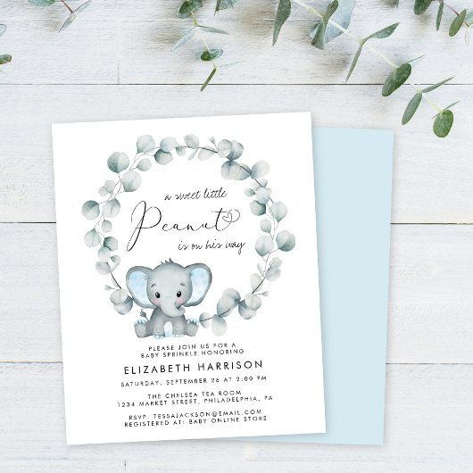 Budget Olifant Baby Boy Sprinkle Uitnodiging