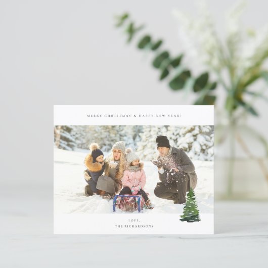 Budget Panorama Chic H Foto - kerstboom (Staand voorkant)