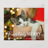 Budget Pawsitly Joyer Personnalisé Carte photo de  (Devant)