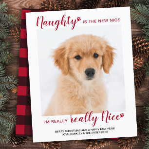 Budget Pet Foto Naught Nice Funny Holiday Kaart