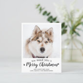Budget Pet Photo 2025 Calendrier Chien Carte de No (Debout devant)