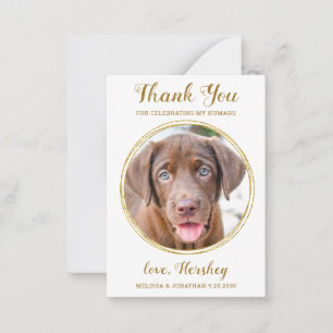 Budget Pet Photo Dog Weddenschap Chic Gold Harteli Notitiekaartje
