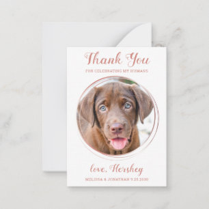 Budget Pet Photo Dog Weddenschap Roos Gold Bedankt Notitiekaartje