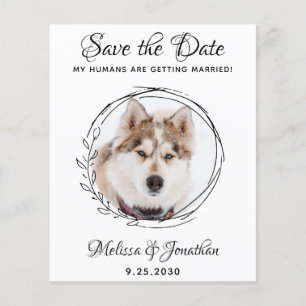 Budget Pet Wedding Foliage Dog bespaart de datumka