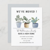 Budget Potted Planten We hebben onze aankondiging  (Voorkant / Achterkant)