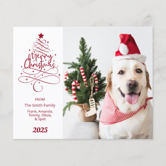 Budget Prettig Kerst Foto (Voorkant)