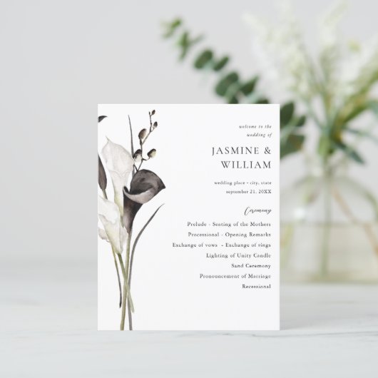 Budget Programme de cérémonie des Mariages de plan (Debout devant)