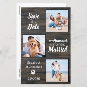 Budget Rustic 3 Photo Dog Wedding Save the Date