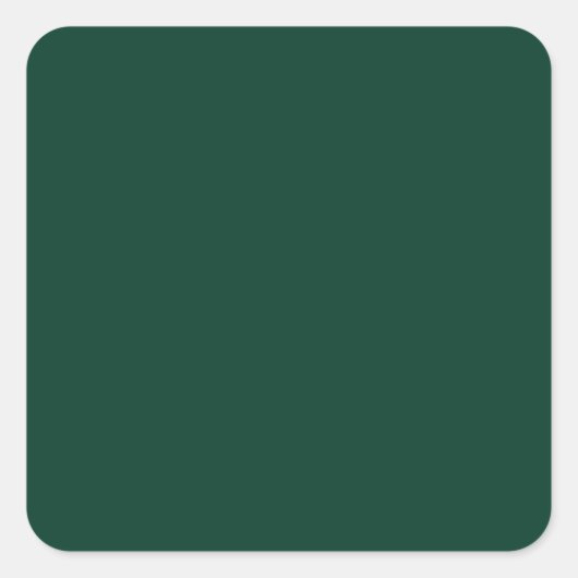 BUDGET Smaragdgroene monochrome tekst Vierkante Sticker (Voorkant)