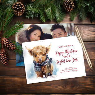 Budget Snowboarden Highland Koe Fotokaart