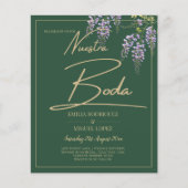 BUDGET Spaans All-in1 WISTERIA Goud Groen BODA (Voorkant)