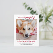 Budget Un Petit Chien Coquin Pet Photo Carte De Va (Debout devant)