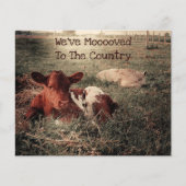 Budget Vache rustique Pays drôle Carte de déménage (Devant)