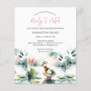 Budget Waterverf Meisje Baby shower Duck Thema