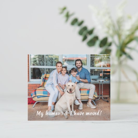 Budget We hebben Pet Moving Announding Kaart verpl (Staand voorkant)