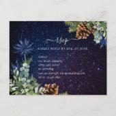 BUDGET Winter Eucalyptus Pine Cones Weddenschap Briefkaart (Voorkant)