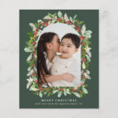 Budget Winter Tuin Groen Kerstmis 1 Foto (Voorkant)