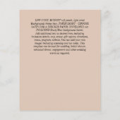 BUDGET WITTE ROSES BEWAREN DATA WEDEND CHIC FLYER (Achterkant)