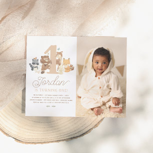 Budget Woodland Animals First Birthday Party Foto