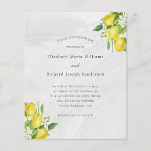 Budget Yellow Lemons Waterverf Weddenschap