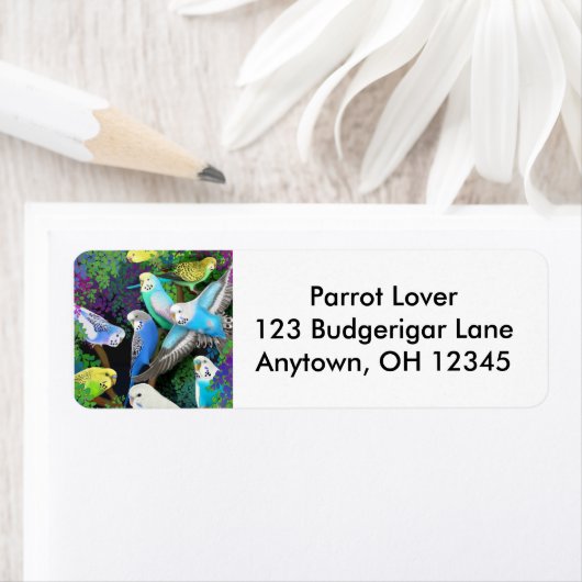 Budgets dans le Étiquette Ferns (En situation)