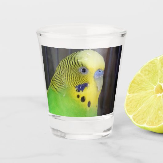 Budgie 003 shot glas (Voorkant)