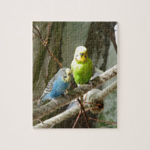Budgie Bird Legpuzzel