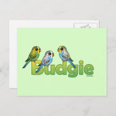 BUDGIE BRIEFKAART (Voorkant / Achterkant)