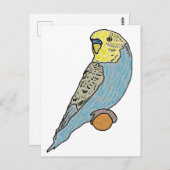 Budgie Briefkaart (Voorkant / Achterkant)