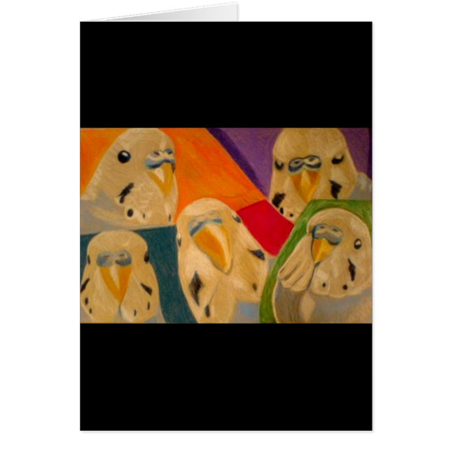 Budgie Budgerigar (Voorkant)