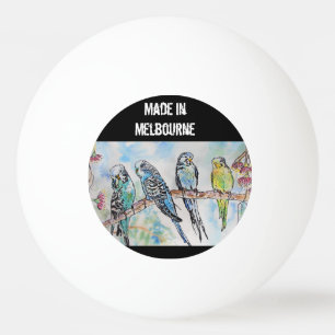 Budgie Budgerigar Vogel Gemaakt In Melbourne Vogel Pingpongballen