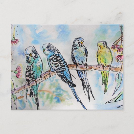 Budgie Budgies Carte Oiseau de peinture aquarelle (Devant)