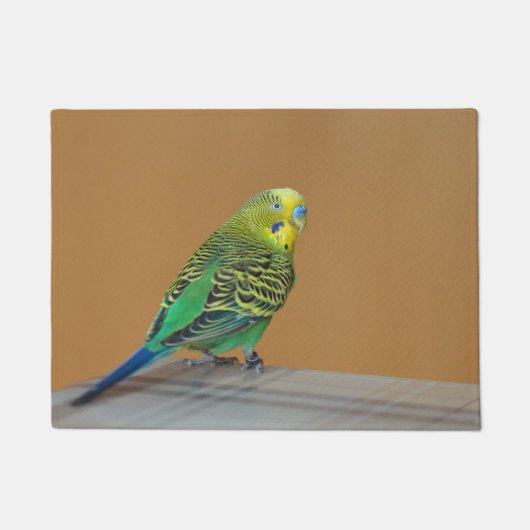 Budgie Deurmat (Voorkant)