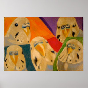Budgie Grasparkiet Poster