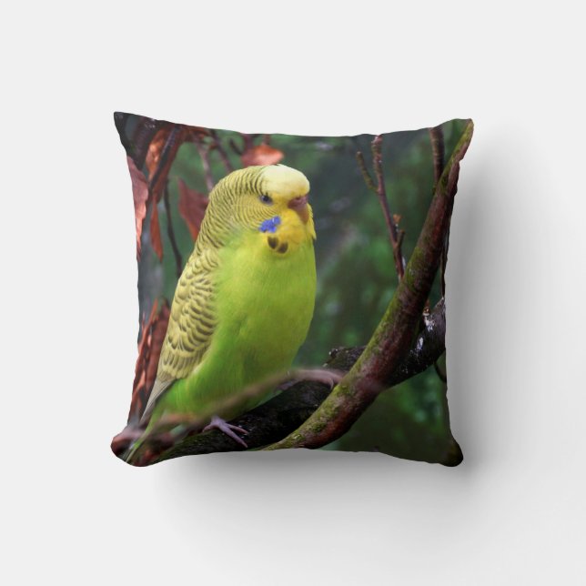 Budgie Kussen (Voorkant)