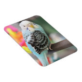 Budgie Magneet (Rechterzijde)