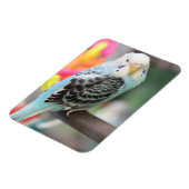 Budgie Magneet (Linkerzijde)