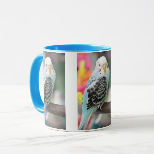 Budgie Mok (Voorkant links)