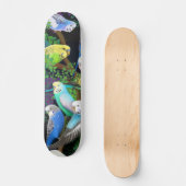 Budgie Parakeets Skateboard (Voorkant)