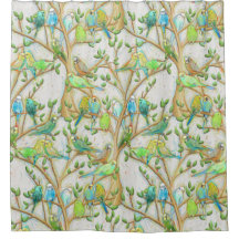 Budgie Paraket Bird Shower Curtain