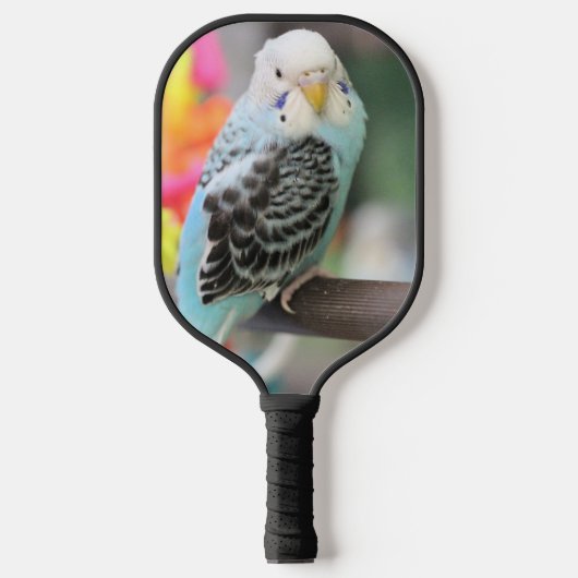 Budgie Pickleball Paddle (Voorkant)