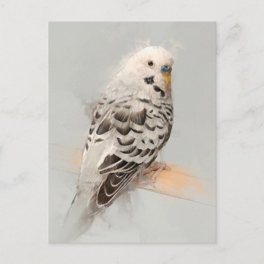 Budgie Portrait No.11 Briefkaart (Voorkant)