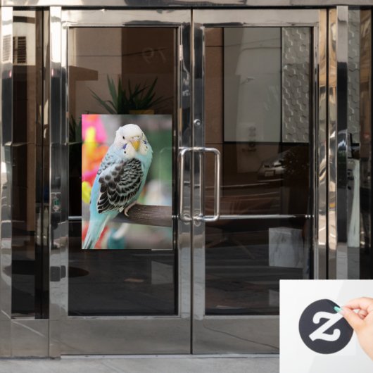 Budgie Raamsticker (Kantoordeur)